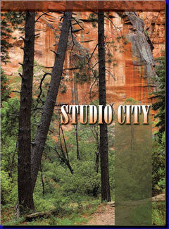 Studio City - Pete McGregor Music