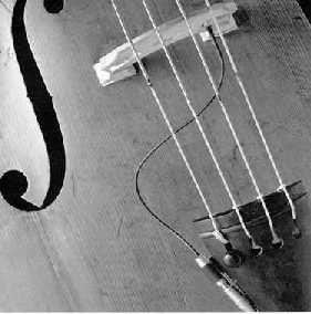 ベース schertler stat b Schertler Stat B Set – Pete McGregor Music