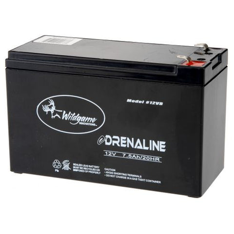 Rechargeable Amplifier Battery - Pete McGregor Music